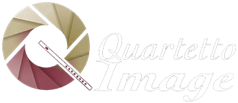 logo quartetto flauti image logo quartetto flauti image